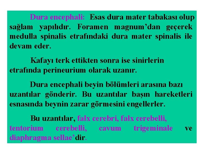 Dura encephali: Esas dura mater tabakası olup sağlam yapılıdır. Foramen magnum’dan geçerek medulla spinalis Dura encephali: Esas dura mater tabakası olup sağlam yapılıdır. Foramen magnum’dan geçerek medulla spinalis