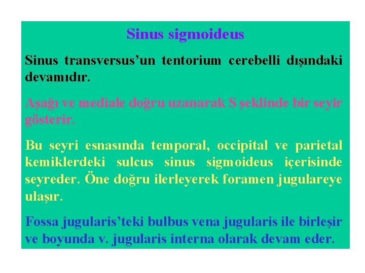 Sinus sigmoideus Sinus transversus’un tentorium cerebelli dışındaki devamıdır. Aşağı ve mediale doğru uzanarak S Sinus sigmoideus Sinus transversus’un tentorium cerebelli dışındaki devamıdır. Aşağı ve mediale doğru uzanarak S