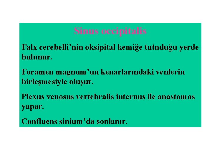 Sinus occipitalis Falx cerebelli’nin oksipital kemiğe tutnduğu yerde bulunur. Foramen magnum’un kenarlarındaki venlerin birleşmesiyle Sinus occipitalis Falx cerebelli’nin oksipital kemiğe tutnduğu yerde bulunur. Foramen magnum’un kenarlarındaki venlerin birleşmesiyle