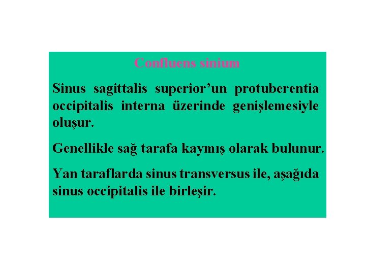 Confluens sinium Sinus sagittalis superior’un protuberentia occipitalis interna üzerinde genişlemesiyle oluşur. Genellikle sağ tarafa Confluens sinium Sinus sagittalis superior’un protuberentia occipitalis interna üzerinde genişlemesiyle oluşur. Genellikle sağ tarafa