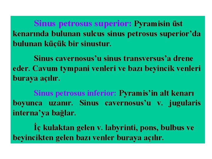Sinus petrosus superior: Pyramisin üst kenarında bulunan sulcus sinus petrosus superior’da bulunan küçük bir Sinus petrosus superior: Pyramisin üst kenarında bulunan sulcus sinus petrosus superior’da bulunan küçük bir