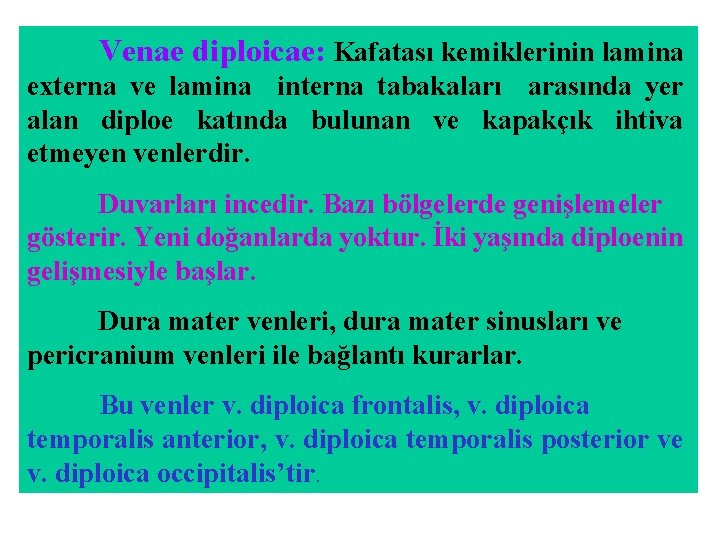 Venae diploicae: Kafatası kemiklerinin lamina externa ve lamina interna tabakaları arasında yer alan diploe Venae diploicae: Kafatası kemiklerinin lamina externa ve lamina interna tabakaları arasında yer alan diploe