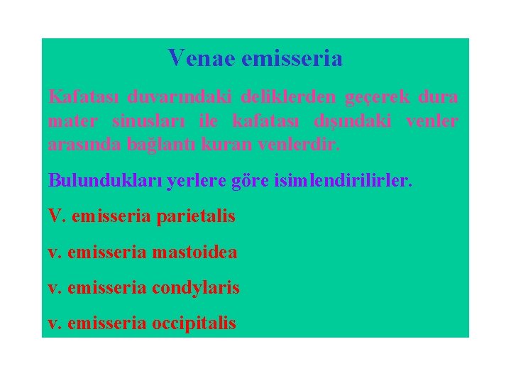Venae emisseria Kafatası duvarındaki deliklerden geçerek dura mater sinusları ile kafatası dışındaki venler arasında Venae emisseria Kafatası duvarındaki deliklerden geçerek dura mater sinusları ile kafatası dışındaki venler arasında