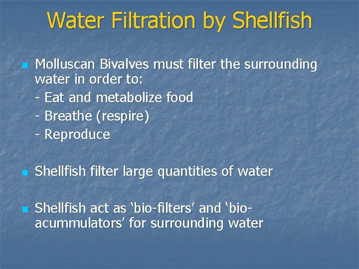 Water Filtration by Shellfish n n n Molluscan Bivalves must filter the surrounding water