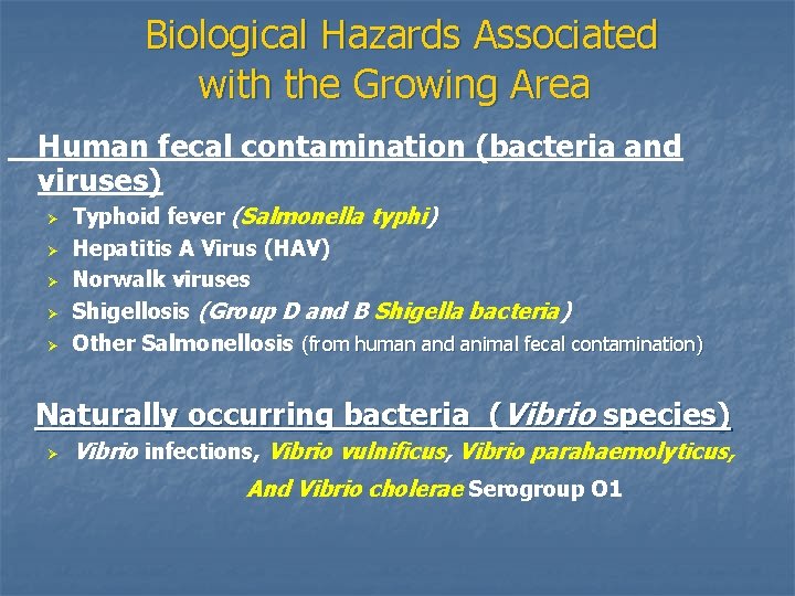 Biological Hazards Associated with the Growing Area Human fecal contamination (bacteria and viruses) Ø