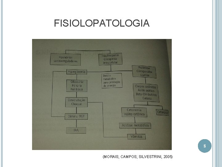 FISIOLOPATOLOGIA 8 (MORAIS; CAMPOS; SILVESTRINI, 2005) 