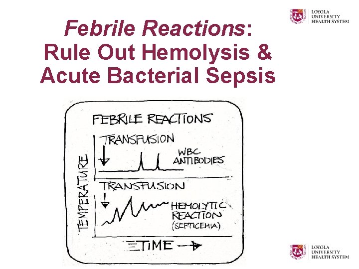 Febrile Reactions: Rule Out Hemolysis & Acute Bacterial Sepsis 