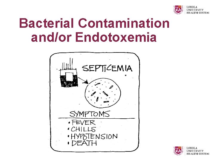 Bacterial Contamination and/or Endotoxemia 