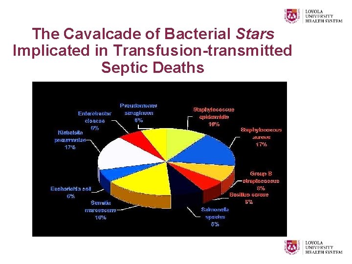 The Cavalcade of Bacterial Stars Implicated in Transfusion-transmitted Septic Deaths 