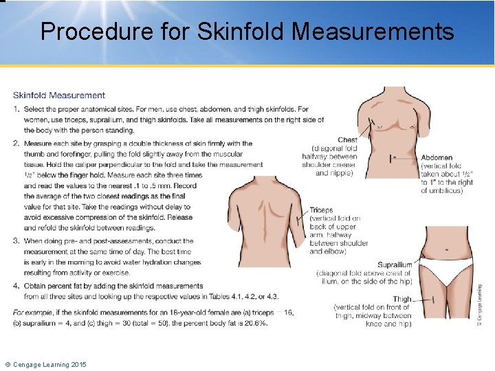 Procedure for Skinfold Measurements © Cengage Learning 2015 