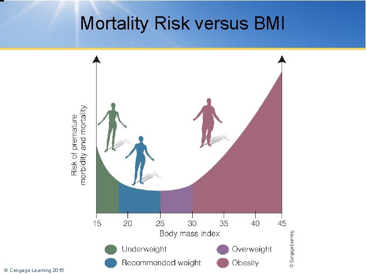 Mortality Risk versus BMI © Cengage Learning 2015 