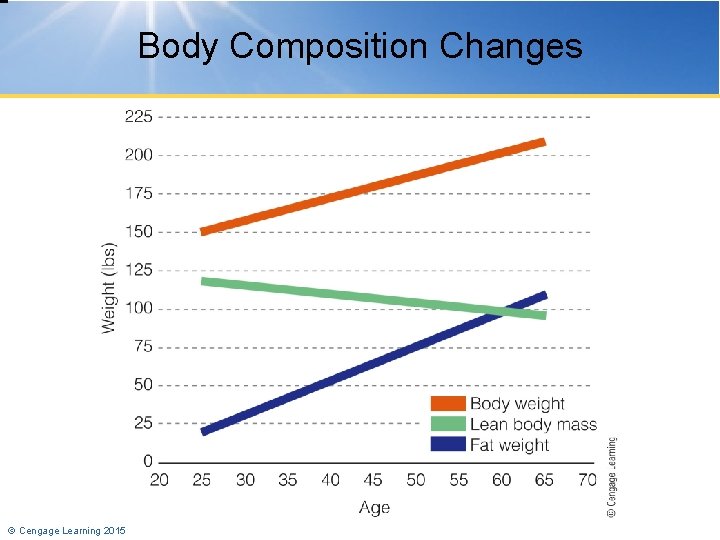 Body Composition Changes © Cengage Learning 2015 
