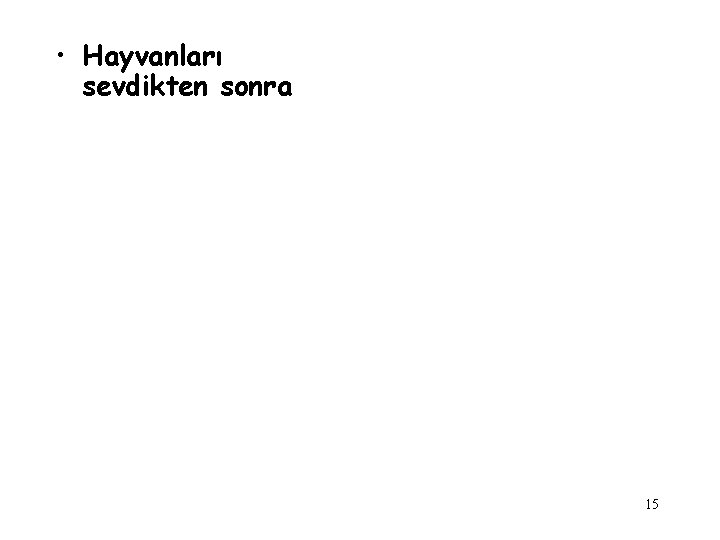  • Hayvanları sevdikten sonra 15 