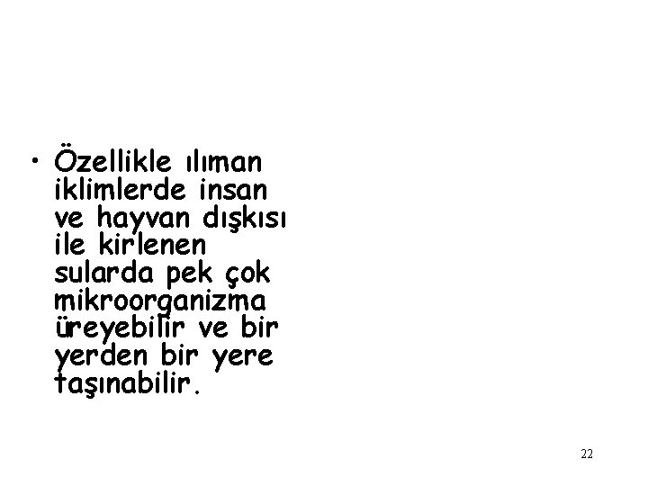  • Özellikle ılıman iklimlerde insan ve hayvan dışkısı ile kirlenen sularda pek çok