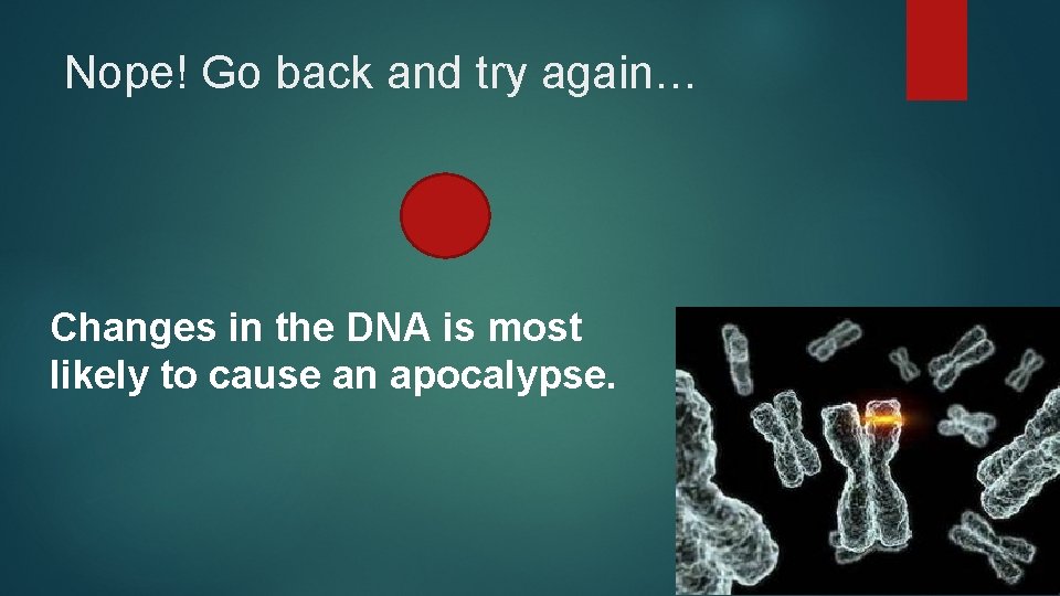 Nope! Go back and try again… Changes in the DNA is most likely to