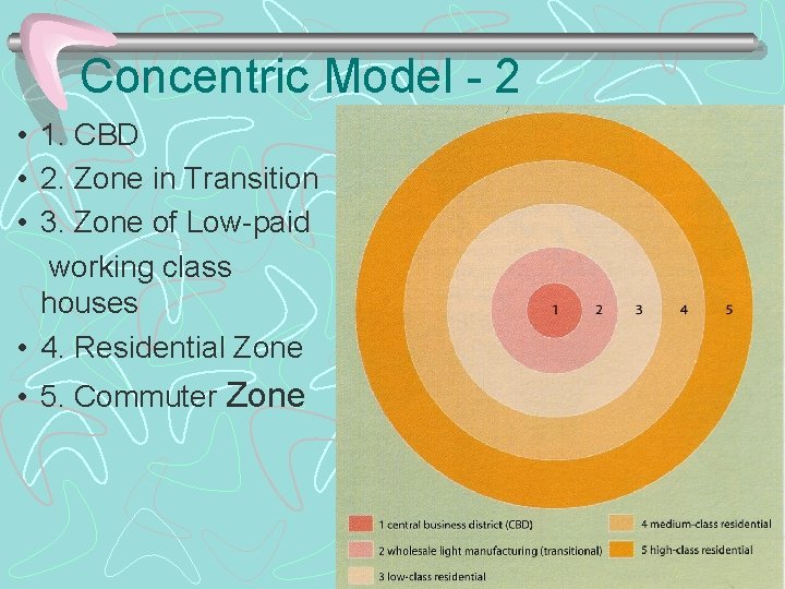 Concentric Model - 2 • 1. CBD • 2. Zone in Transition • 3.