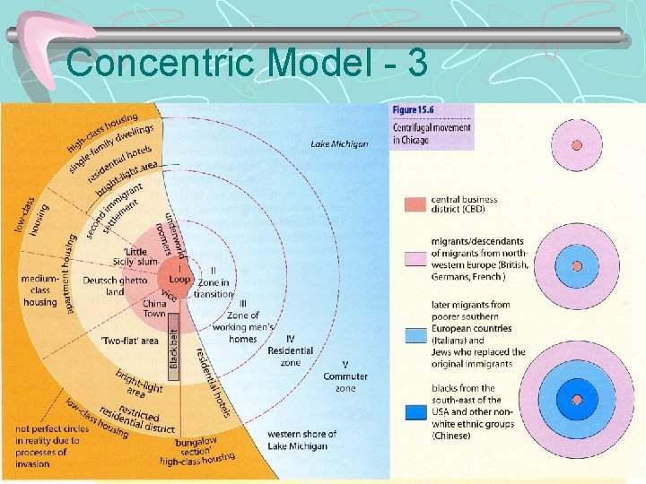 Concentric Model - 3 