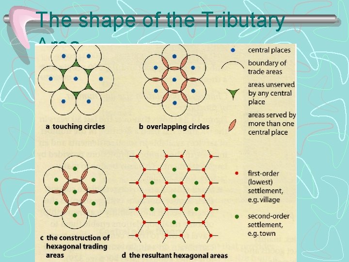 The shape of the Tributary Area 