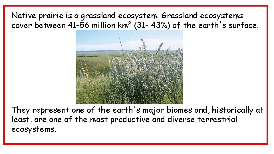 Native prairie is a grassland ecosystem. Grassland ecosystems cover between 41 -56 million km