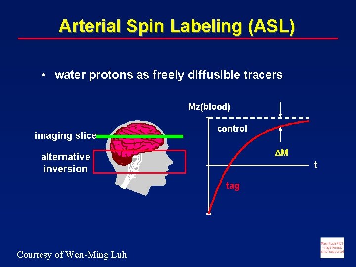 Arterial Spin Labeling (ASL) • water protons as freely diffusible tracers Mz(blood) imaging slice