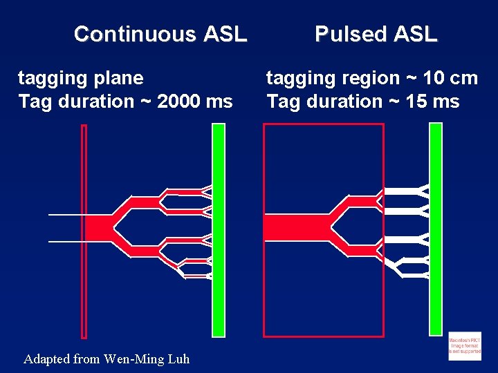 Continuous ASL tagging plane Tag duration ~ 2000 ms Adapted from Wen-Ming Luh Pulsed