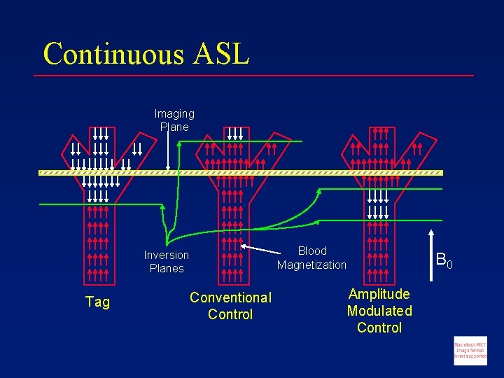 Continuous ASL Imaging Plane Blood Magnetization Inversion Planes Tag Conventional Control Amplitude Modulated Control