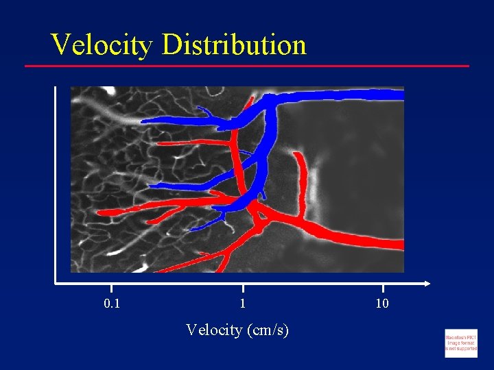Velocity Distribution 0. 1 1 Velocity (cm/s) 10 