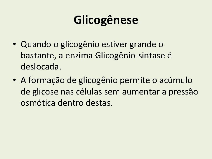 Glicogênese • Quando o glicogênio estiver grande o bastante, a enzima Glicogênio-sintase é deslocada.