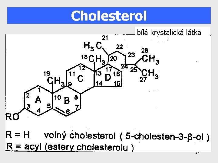 Cholesterol bílá krystalická látka 29 