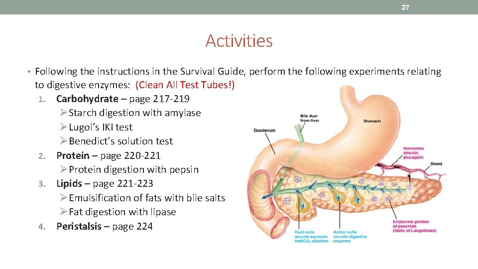 37 Activities • Following the instructions in the Survival Guide, perform the following experiments