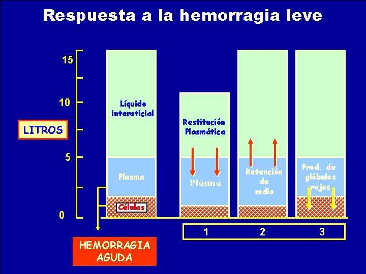 MECANISMOS DE REGULACION EN ETAPA TEMPRANA Respuesta a la hemorragia leve VOLUMEN INTRAVASCULAR RETORNO