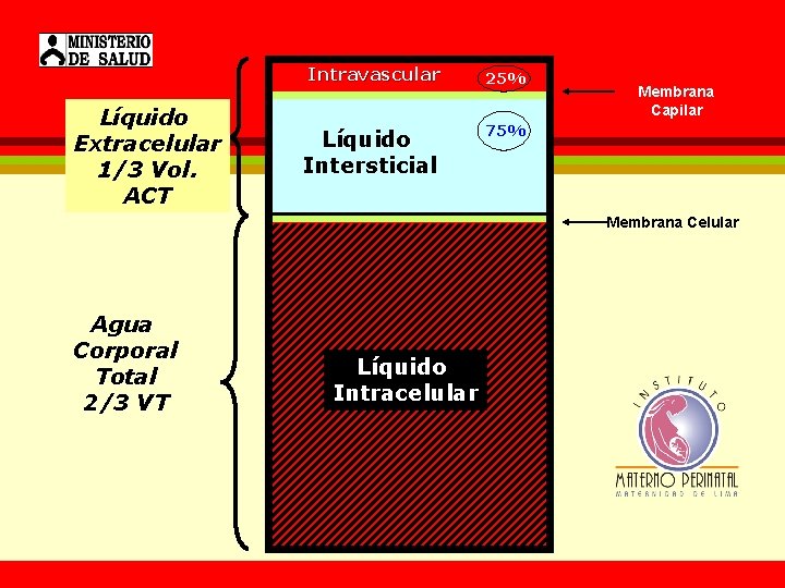 Líquido Extracelular 1/3 Vol. ACT Intravascular 25% Líquido Intersticial 75% Membrana Capilar Membrana Celular