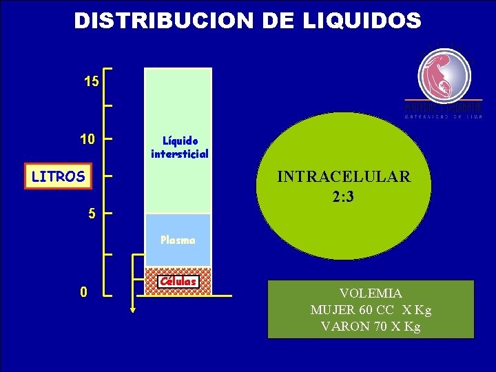 MECANISMOS DE REGULACION EN ETAPA TEMPRANA DISTRIBUCION DE LIQUIDOS VOLUMEN INTRAVASCULAR RETORNO VENOSO 15