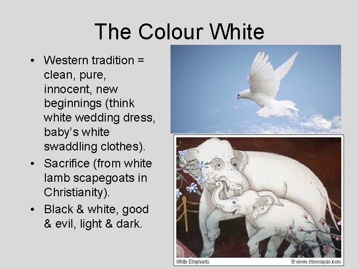The Colour White • Western tradition = clean, pure, innocent, new beginnings (think white