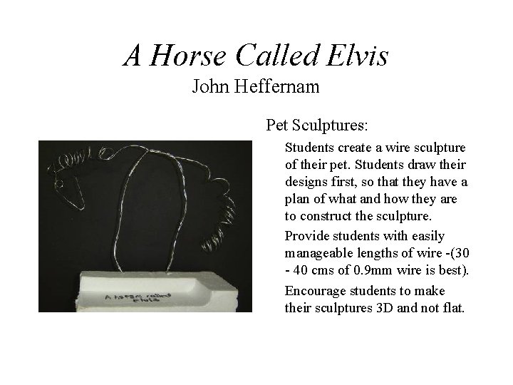 A Horse Called Elvis John Heffernam Pet Sculptures: Students create a wire sculpture of