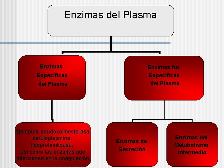 Enzimas del Plasma Enzimas No Especificas del Plasma Ejemplos: seudocolinesterasa, ceruloplasmina, lipoproteinlipasa, así como