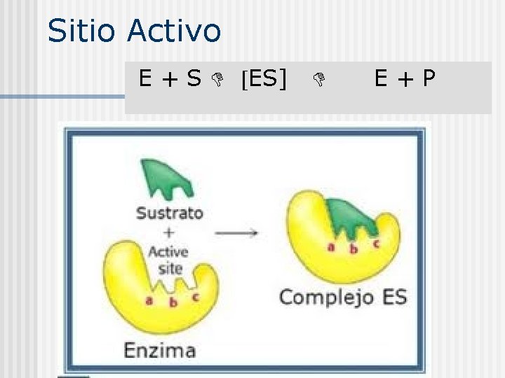 Sitio Activo E + S ES] E + P 