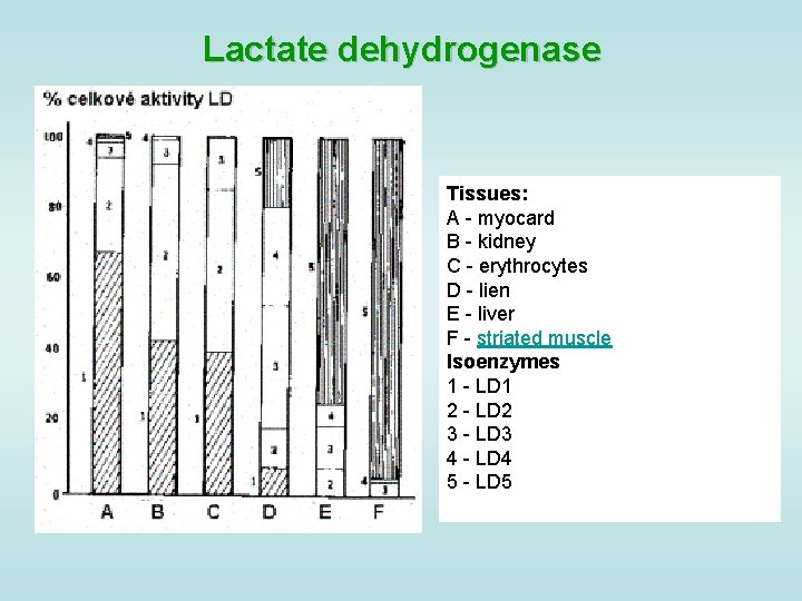 Lactate dehydrogenase Tissues: A - myocard B - kidney C - erythrocytes D -