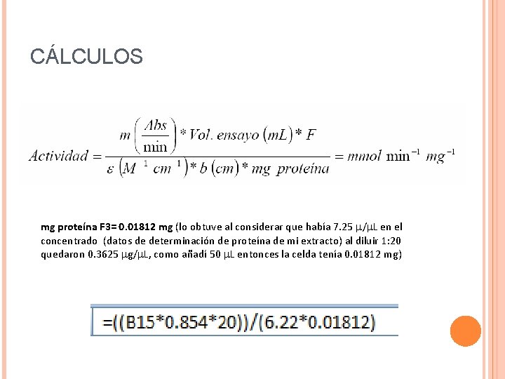 CÁLCULOS mg proteína F 3= 0. 01812 mg (lo obtuve al considerar que había