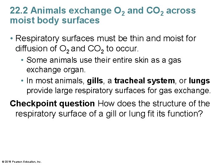 22. 2 Animals exchange O 2 and CO 2 across moist body surfaces •