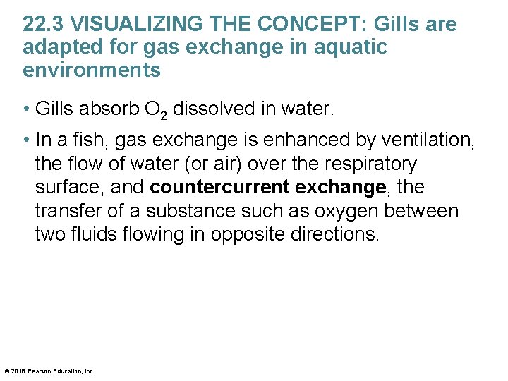 22. 3 VISUALIZING THE CONCEPT: Gills are adapted for gas exchange in aquatic environments