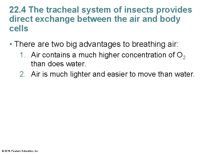22. 4 The tracheal system of insects provides direct exchange between the air and