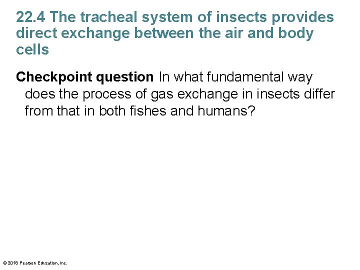 22. 4 The tracheal system of insects provides direct exchange between the air and