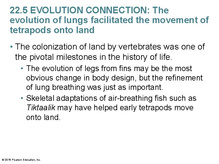 22. 5 EVOLUTION CONNECTION: The evolution of lungs facilitated the movement of tetrapods onto