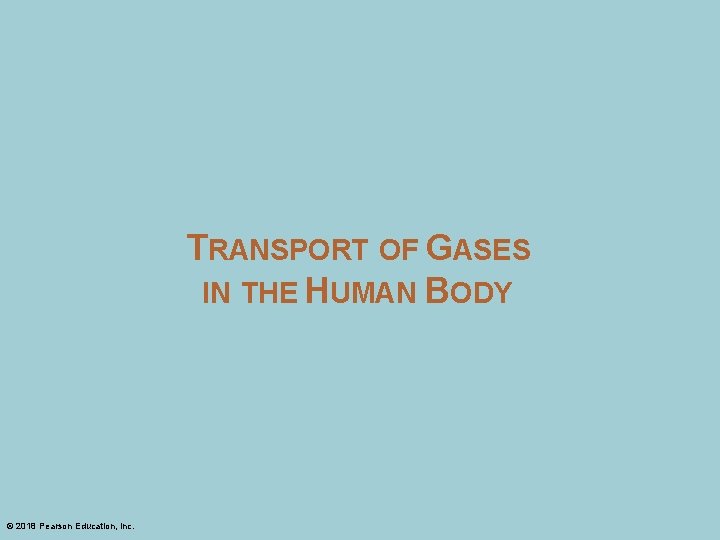 TRANSPORT OF GASES IN THE HUMAN BODY © 2018 Pearson Education, Inc. 