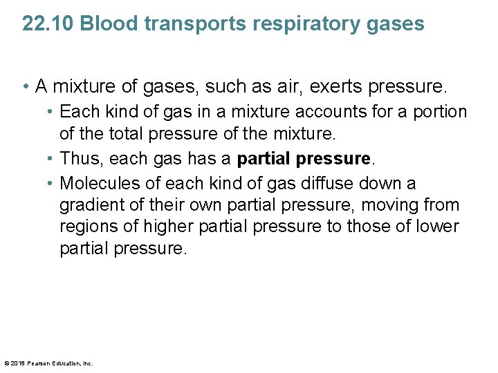 22. 10 Blood transports respiratory gases • A mixture of gases, such as air,