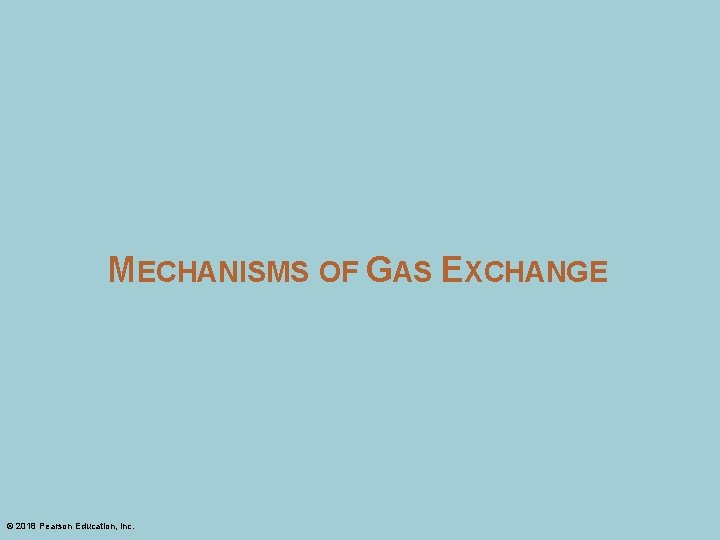 MECHANISMS OF GAS EXCHANGE © 2018 Pearson Education, Inc. 