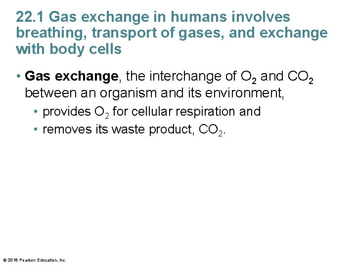 22. 1 Gas exchange in humans involves breathing, transport of gases, and exchange with