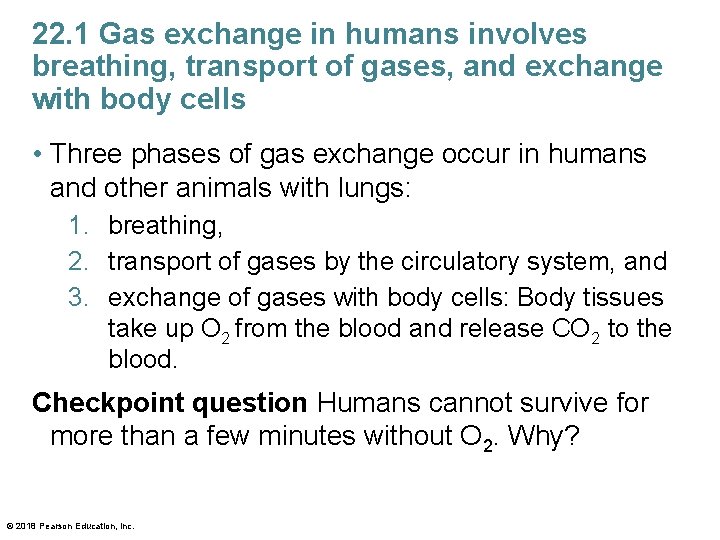 22. 1 Gas exchange in humans involves breathing, transport of gases, and exchange with