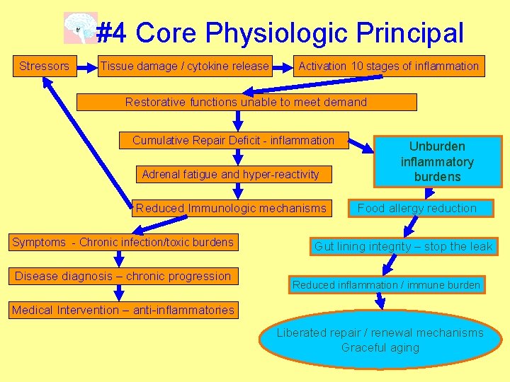 #4 Core Physiologic Principal Stressors Tissue damage / cytokine release Activation 10 stages of